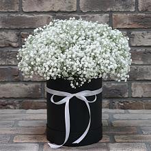 Цветочная композиция из Гипсофила в шляпной коробке в Югорске