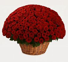 Премиум букет из: Розы #REPLACE_PRED# Югорске